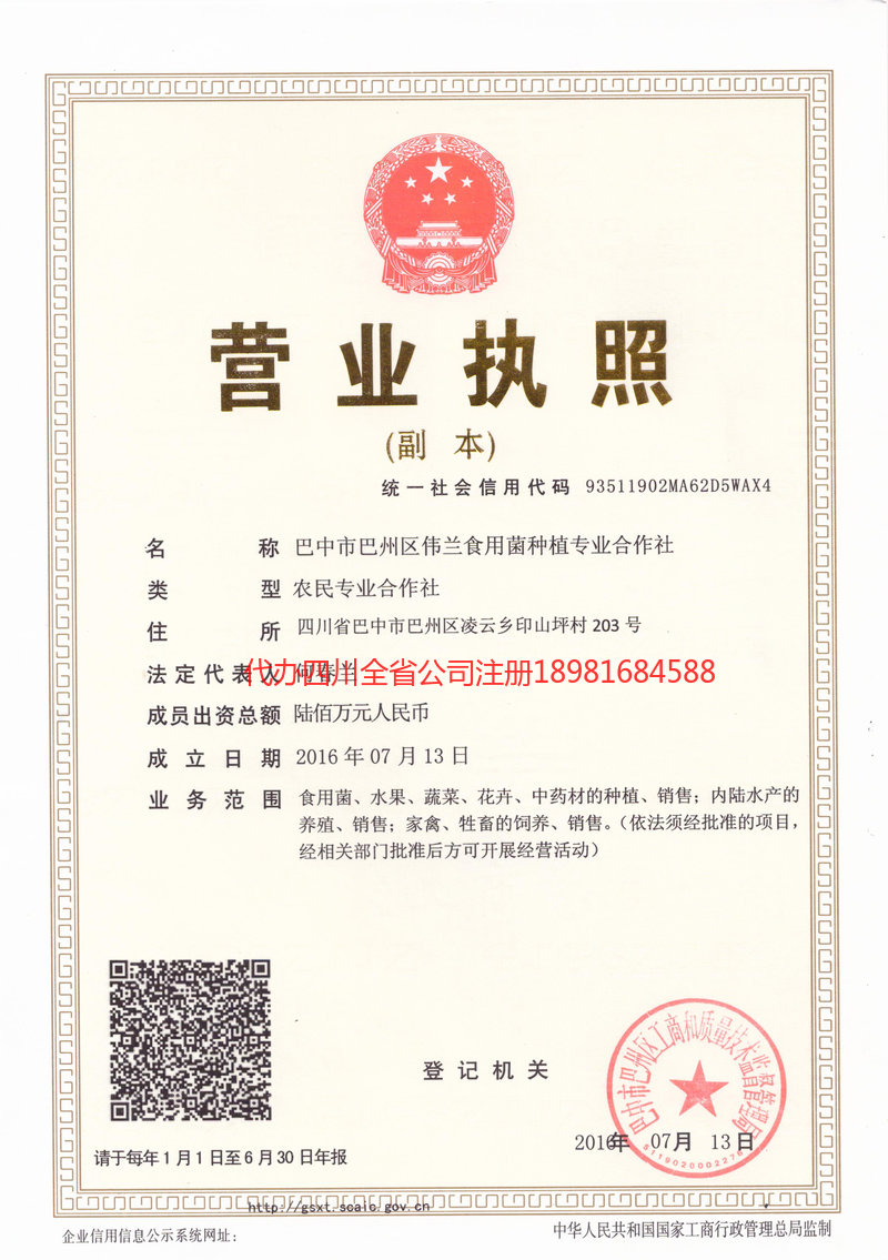 汕尾汕尾伟兰食用菌种植专业合作社